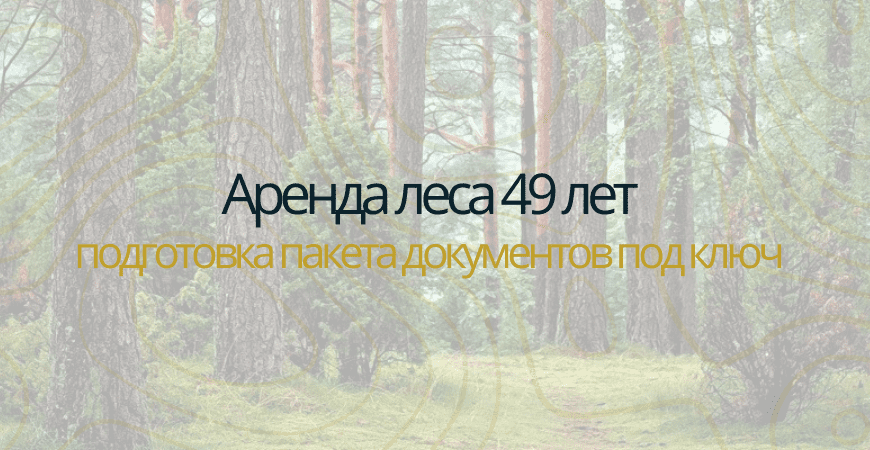 Аренда леса на 49 лет в Коломне и Коломенском районе